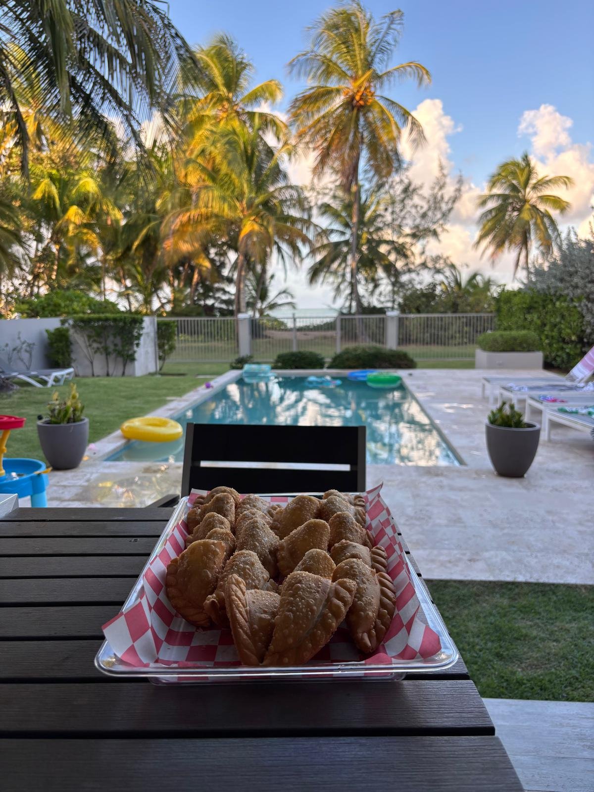 Plato gourmet de carne asada con vegetales y salsas, ejemplo de la variedad de opciones de catering de Celymar Catering para eventos en Puerto Rico